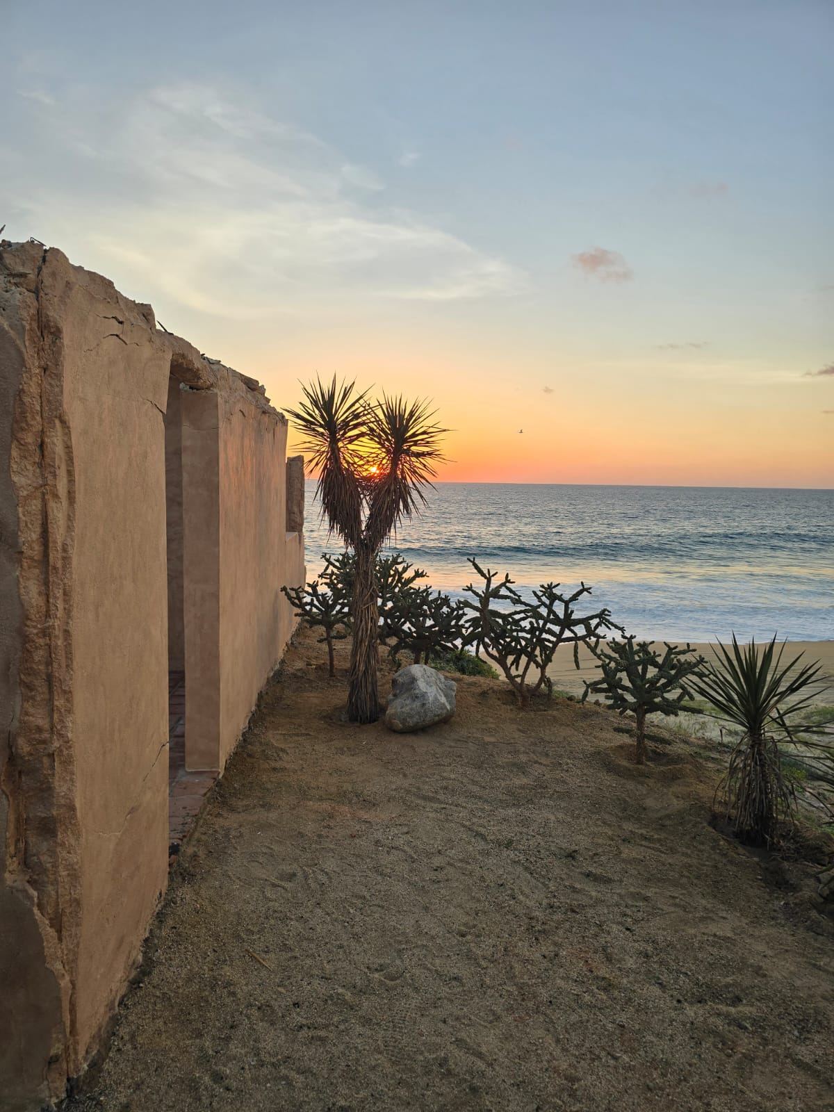 Restored ruin walls and desert garden above the beach
